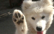HighFive